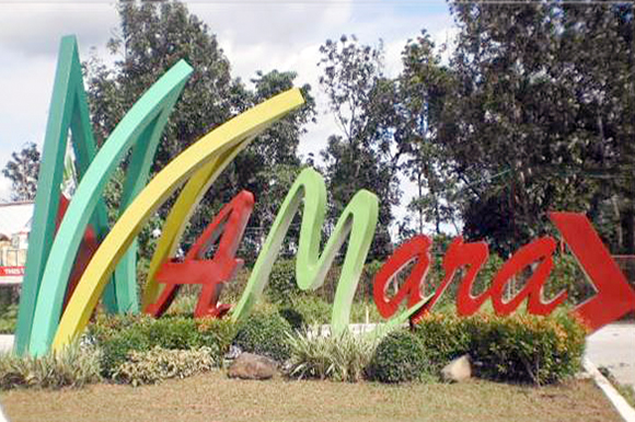 Real Estate Amara Cover